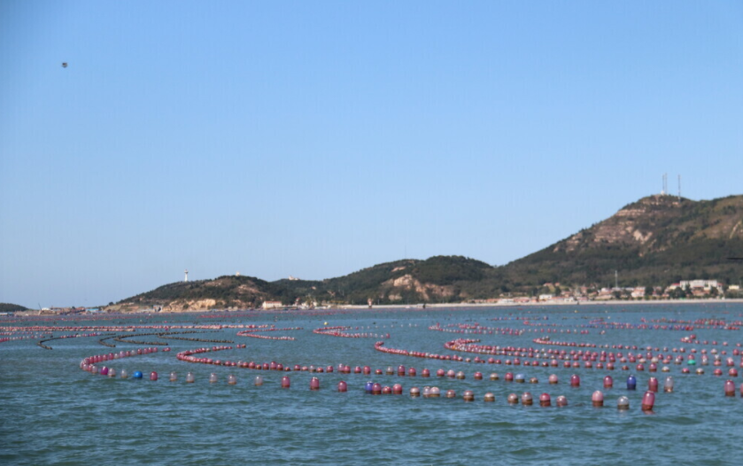 養(yǎng)魚專業(yè)水質(zhì)檢測儀什么品牌好？